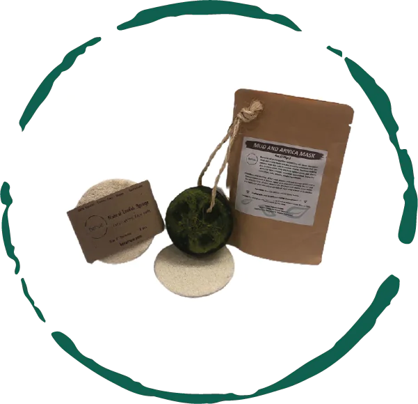 Style Loft Collection Clear Skin Essentials Kit