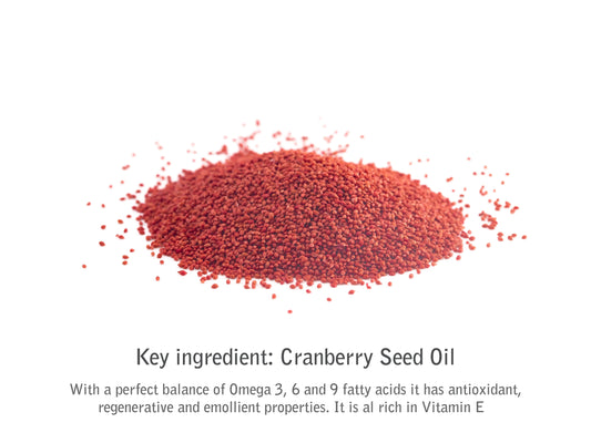 Style Loft Collection Cranberry Body Butter Cranberry