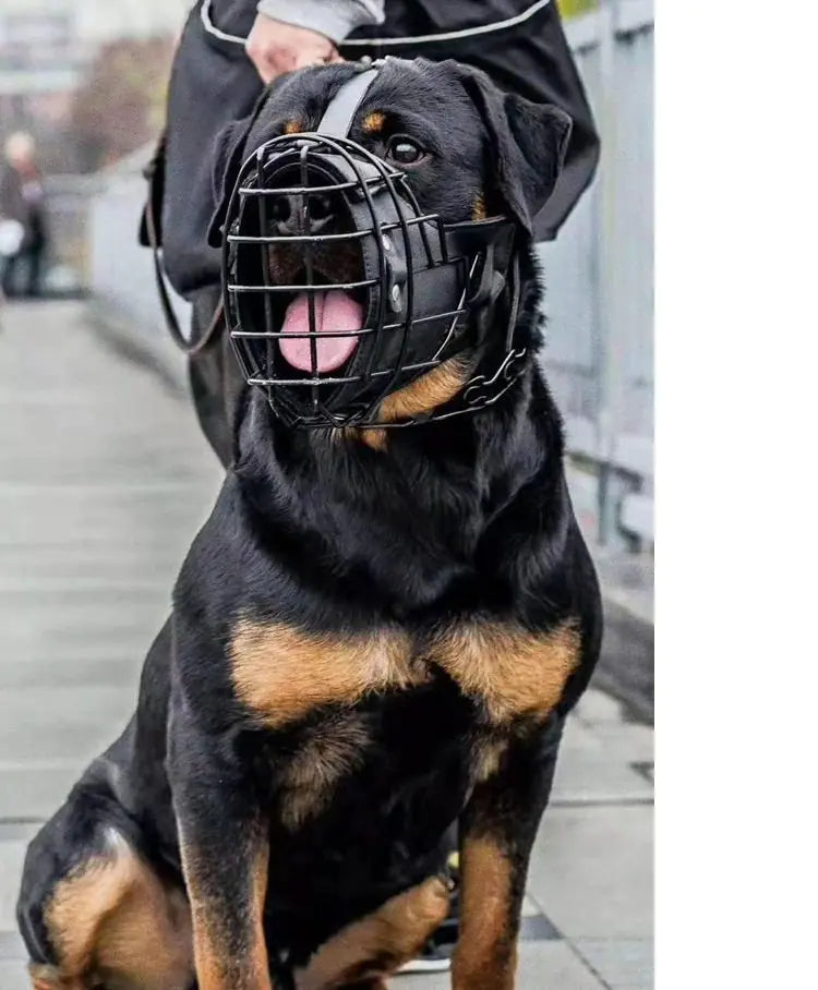 Style Loft Collection PetStyle Canine Muzzle for Training