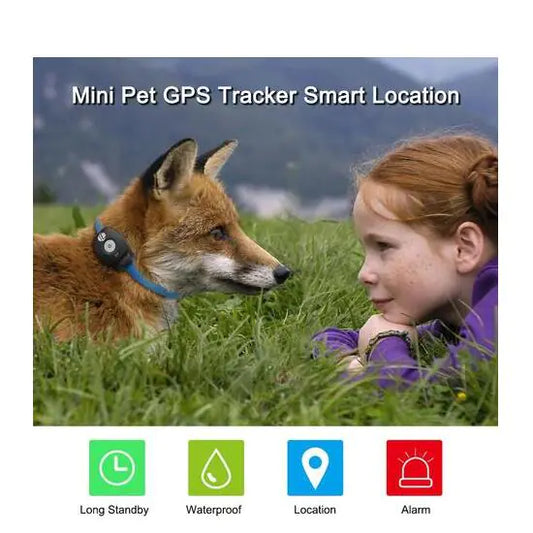 Style Loft Collection PetStyle GPS Tracker and Locator Collar