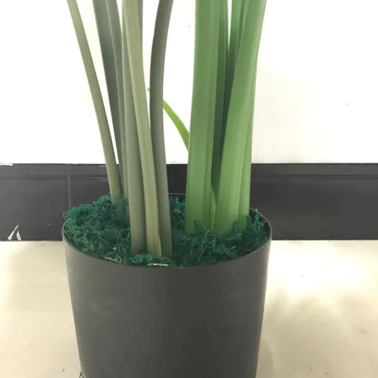 Style Loft Collection Monstera Potted Forever Plant