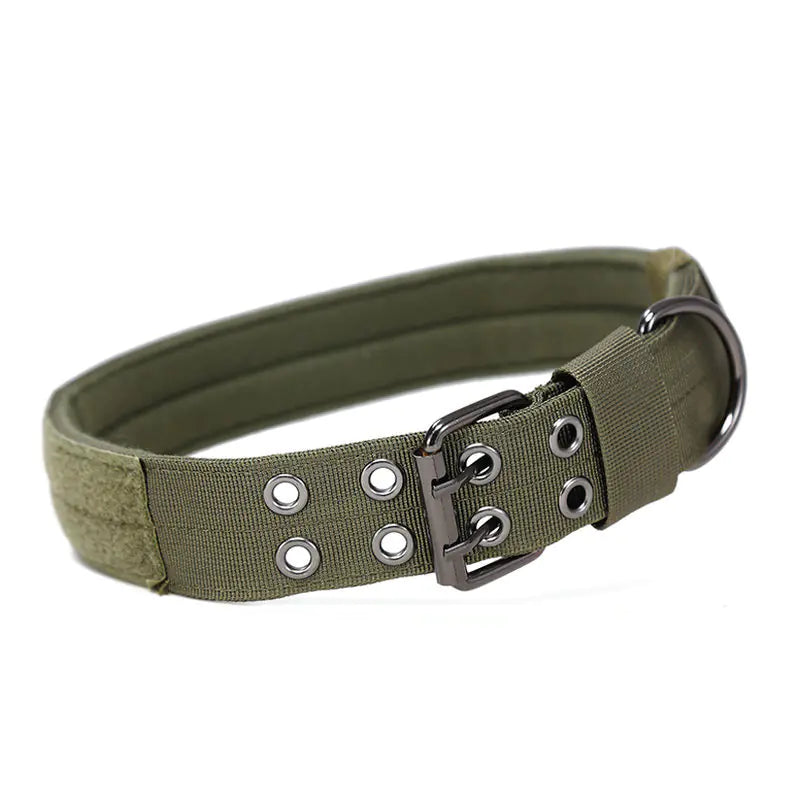 Style Loft Collection PetStyle Nylon Training and Tactical Dog Collar