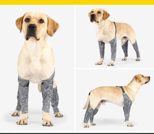 Style Loft Collection PetStyle Pet Pants
