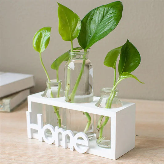 Style Loft Collection Glass Hydroponic Vase