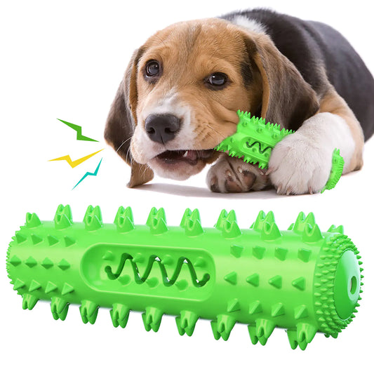 Style Loft Collection Amazing Dog Toothbrush and Dental Toy