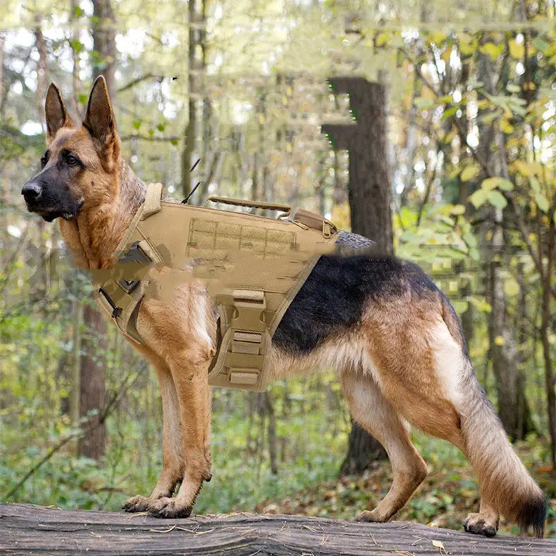 Style Loft Collection PetStyle Canine Training Harness