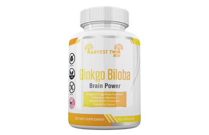 Style Loft Collection Ginkgo Biloba for Focus, Memory, Understanding, and Brain Function