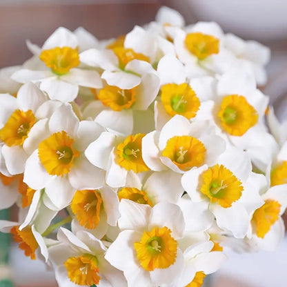 Style Loft Collection One Bunch of Silk Daffodil Flowers