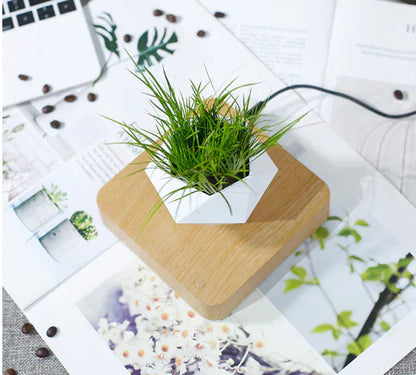 Style Loft Collection Floating Flower Pot