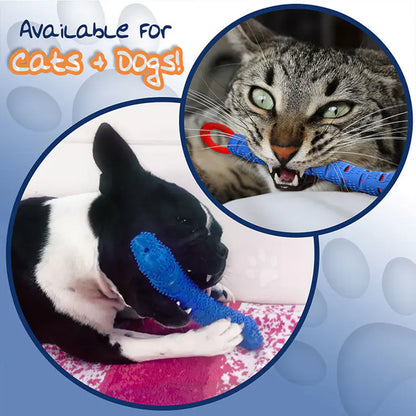 Style Loft Collection Cat and Dog Tooth Cleaning Chewster