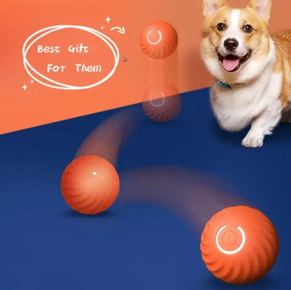 Style Loft Collection Durable Dog Chew Ball