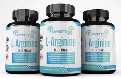 Style Loft Collection L-Arginine for Blood Circulation, Blood Pressure, Sexual Function, and Recovery of Muscles and Injuries