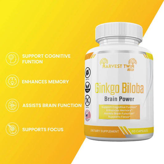 Style Loft Collection Ginkgo Biloba for Focus, Memory, Understanding, and Brain Function