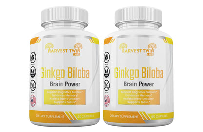 Style Loft Collection Ginkgo Biloba for Focus, Memory, Understanding, and Brain Function
