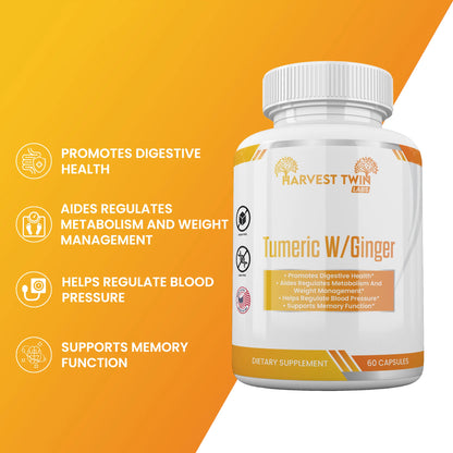 Style Loft Collection Turmeric w/Ginger for Digestion, Weight, Blood Pressure, and Memory