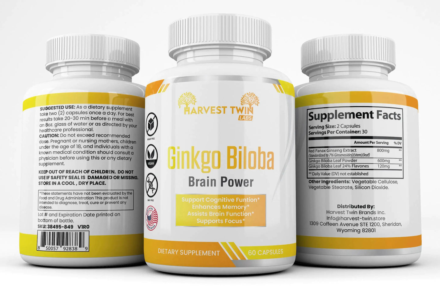 Style Loft Collection Ginkgo Biloba for Focus, Memory, Understanding, and Brain Function