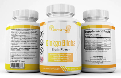 Style Loft Collection Ginkgo Biloba for Focus, Memory, Understanding, and Brain Function