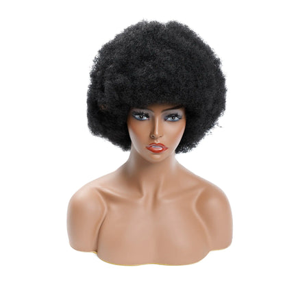 Style Loft Collection 54th and Birmingham Afro Wig