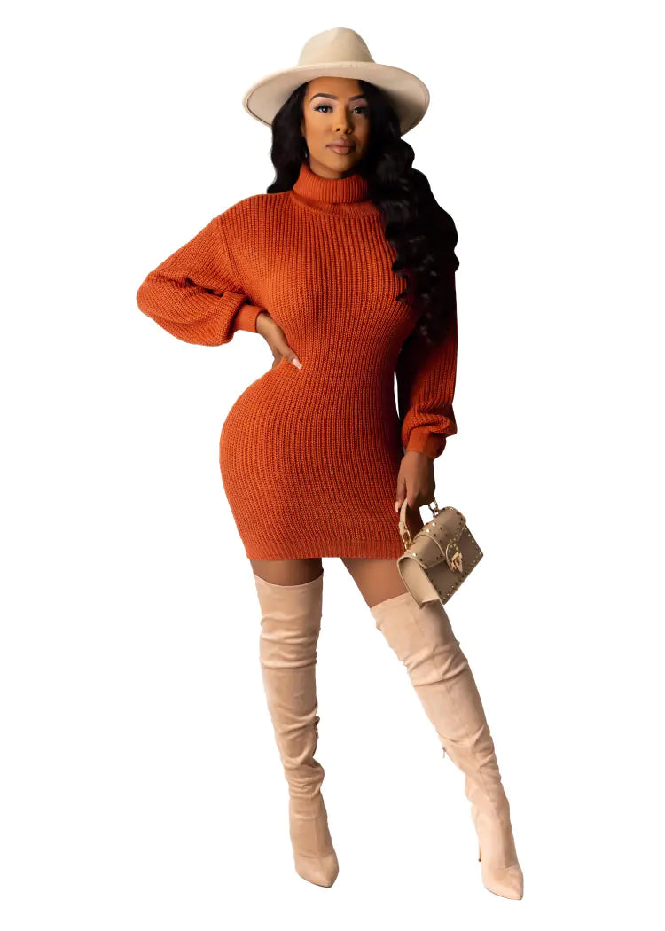 Style Loft Collection Catch Me After Work-Work Turtleneck Sweater Dress