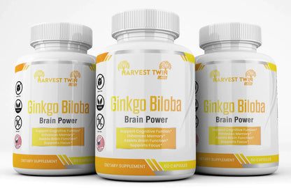 Style Loft Collection Ginkgo Biloba for Focus, Memory, Understanding, and Brain Function