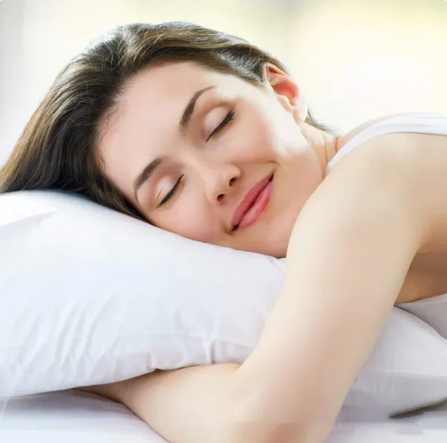 Style Loft Collection Six Star Hotel Bed Pillow