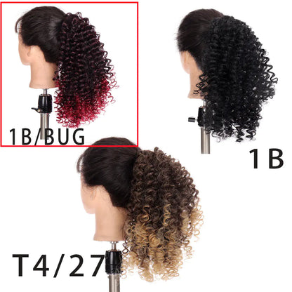 Style Loft Collection Curly Ponytail Wig