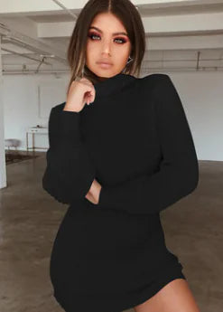 Style Loft Collection Catch Me After Work-Work Turtleneck Sweater Dress