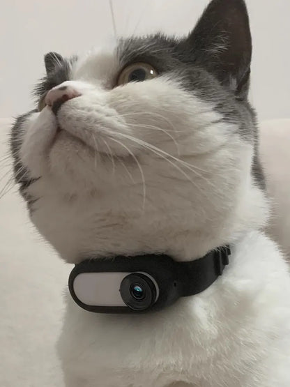 Style Loft Collection CyberStyle Pet Cam ViewCollar