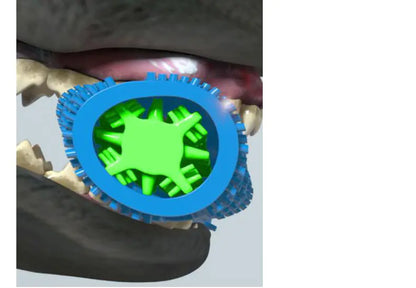 Style Loft Collection Cat and Dog Tooth Cleaning Chewster