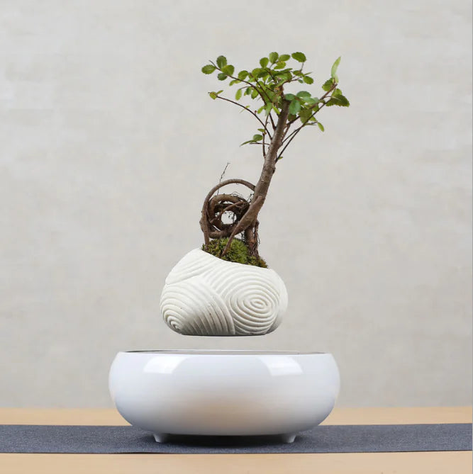 Style Loft Collection Floating Flower Pot