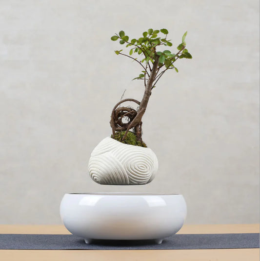 Style Loft Collection Floating Flower Pot