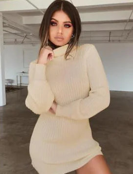 Style Loft Collection Catch Me After Work-Work Turtleneck Sweater Dress