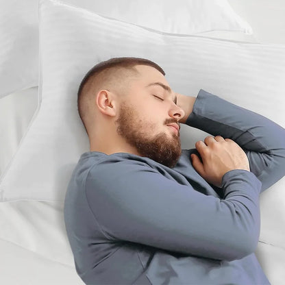 Style Loft Collection Satin Stripe Cotton Fiber Pillow Set