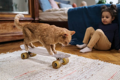 Style Loft Collection PetStyle Furry Friend Skateboard