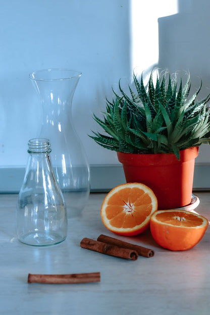 Style Loft Collection Organic Citrus Twist Facial Toner Mist w/ Aloe Vera