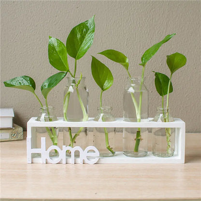 Style Loft Collection Glass Hydroponic Vase