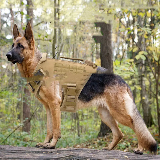 Style Loft Collection PetStyle Canine Training Harness