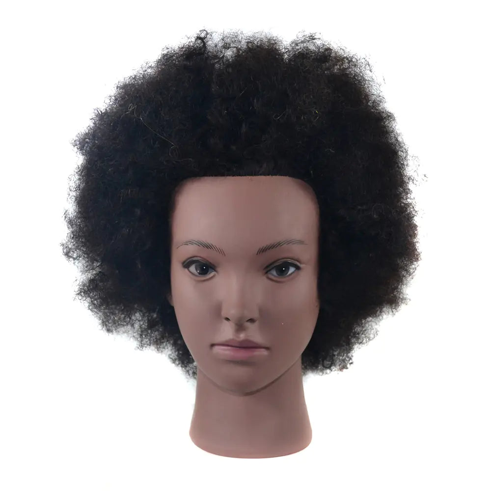 Style Loft Collection It's My Real Hair Authentic Afro Wig
