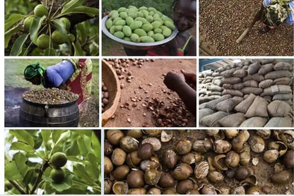 Style Loft Collection 100% Pure Shea Butter Skin Moisturizing Cream