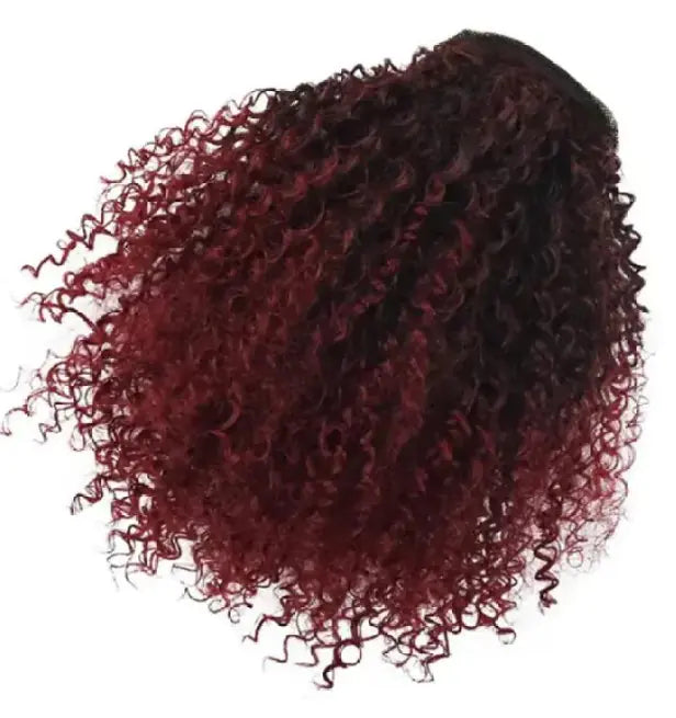 Style Loft Collection Curly Ponytail Wig