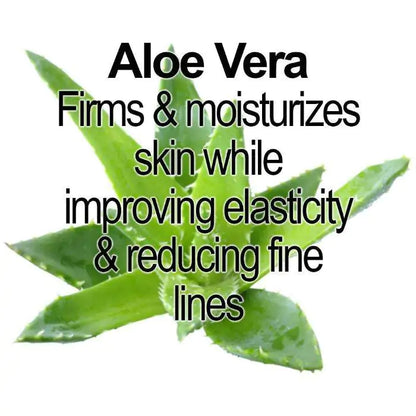 Style Loft Collection Organic Pumpkin Alpha Hydroxy Face Mask