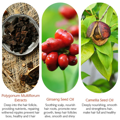 Style Loft Collection Moroccan Queen Hair Repair Oil