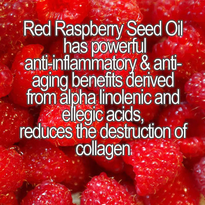 Style Loft Collection Organic DMAE + Alpha Lipoic Skin Firming Serum