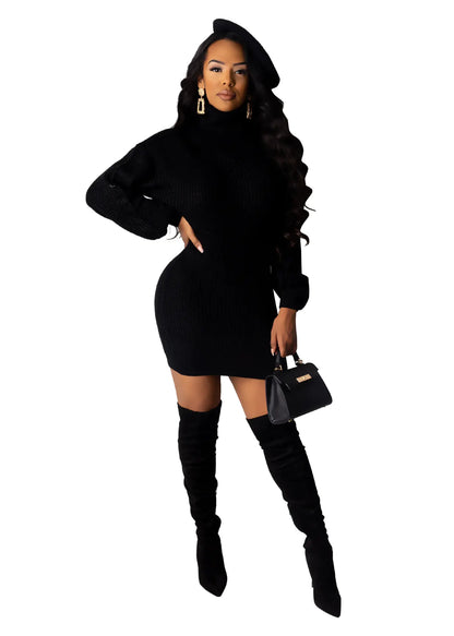 Style Loft Collection Catch Me After Work-Work Turtleneck Sweater Dress